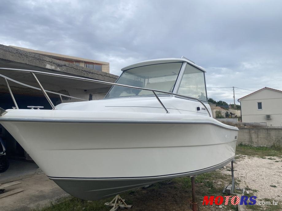 2001' Sessa Dorado photo #1