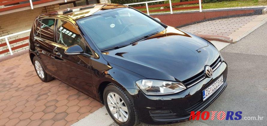 2013' Volkswagen Golf VII 1,6 Tdi Bmt photo #1