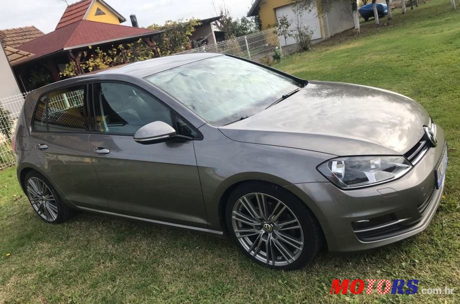 2013' Volkswagen Golf 7 1,6 Tdi Bmt photo #1